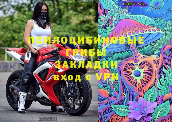 PSILOCYBIN Абдулино