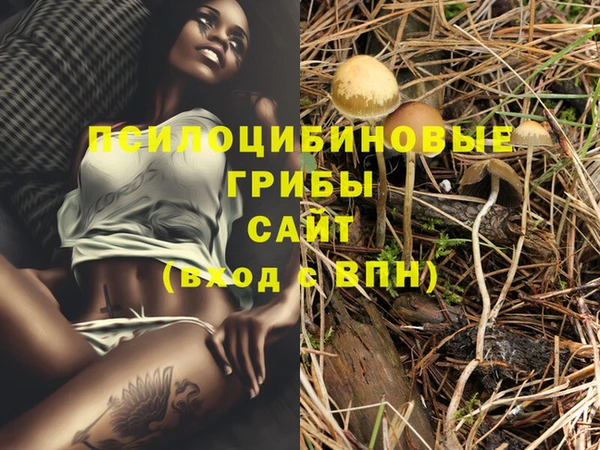 PSILOCYBIN Абдулино
