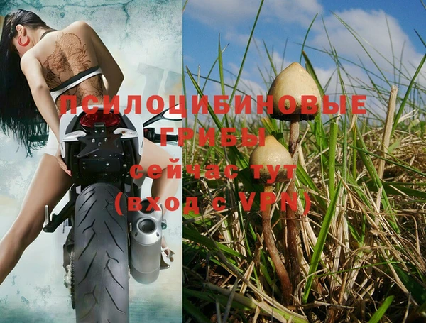 круглые Алзамай