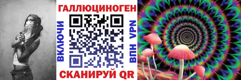 hydra купить Шумиха Галлюциногенные грибы мицелий